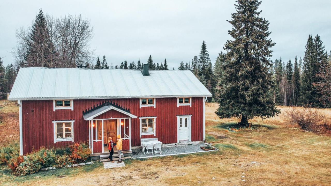 Taiga Forest Lodge Gällivare Kültér fotó