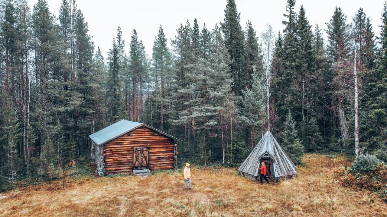 Taiga Forest Lodge Gällivare Kültér fotó