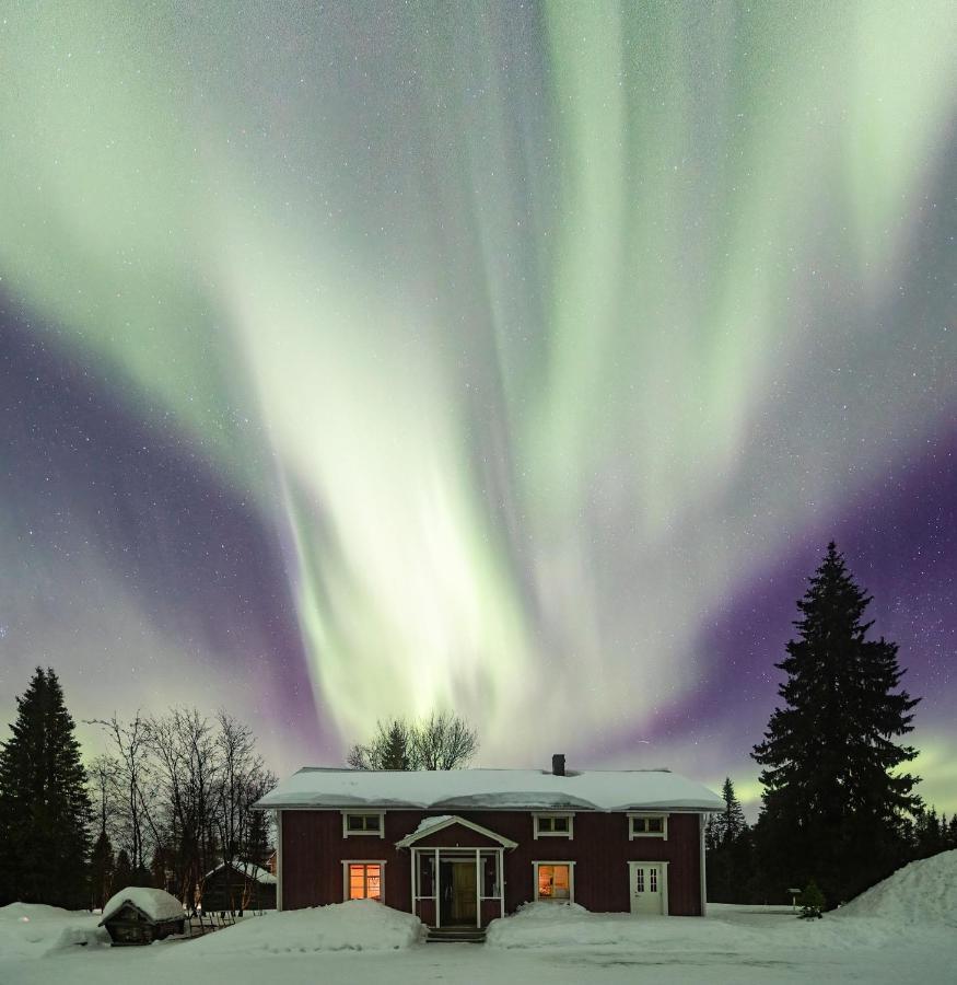 Taiga Forest Lodge Gällivare Kültér fotó